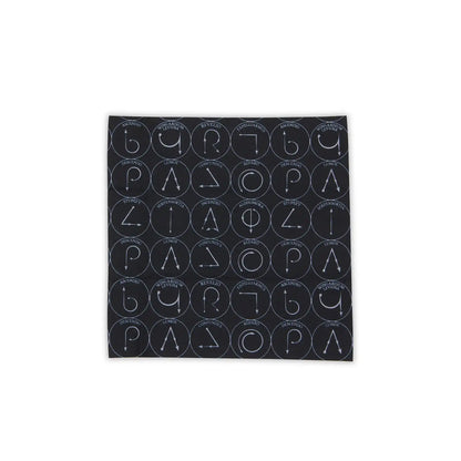 RAVENCLAW™ - SCHOLARLY MATTE BLACK + TWILIGHT BLUE SUNGLASSES
