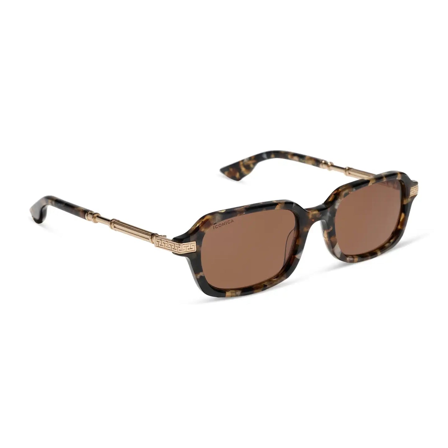 COSETTE - TORTOISE + BROWN + POLARIZED + SUNGLASSES